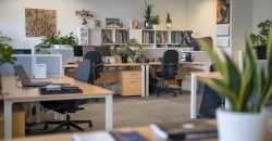 Luxury 3-Bedroom Apartment